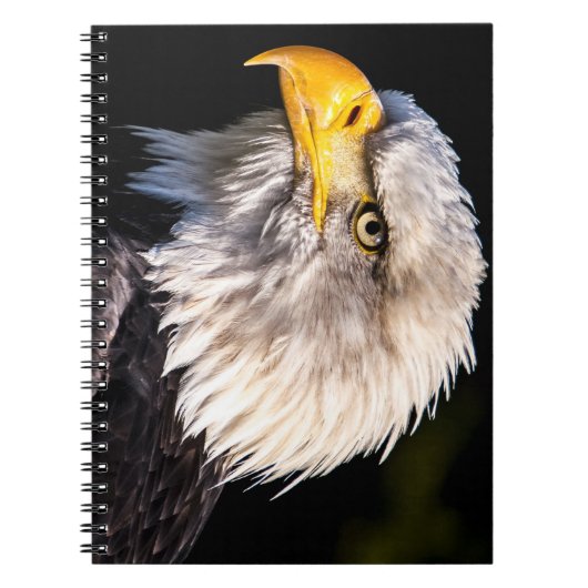 Bald Eagle Notizblock (Vorderseite)