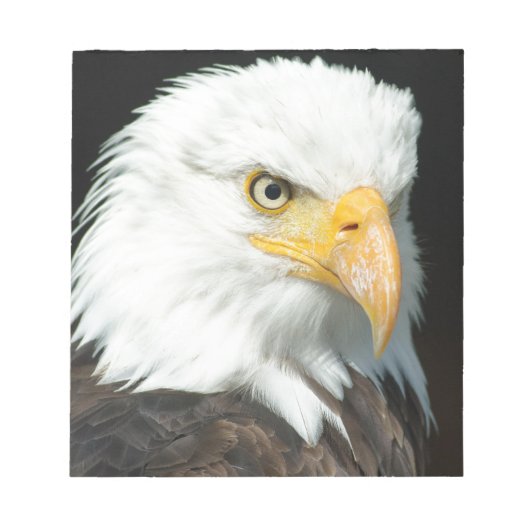 Bald Eagle Notizblock (Vorderseite)