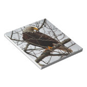 Bald Eagle Notizblock (angewinkelt)