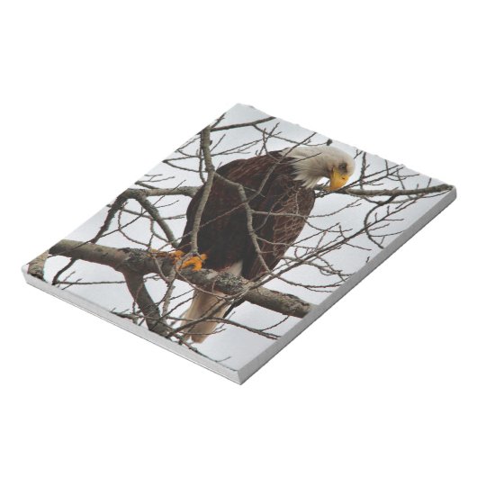 Bald Eagle Notizblock (Rotiert)