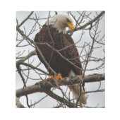 Bald Eagle Notizblock (Vorderseite)