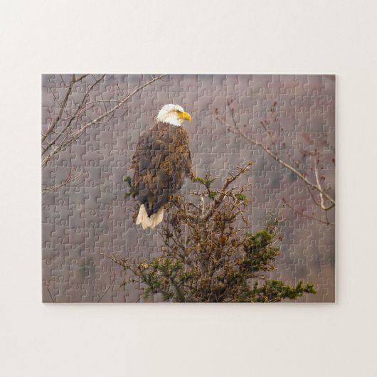 Bald Eagle Nova Scotia Kanada. Jigsaw Puzzle (Horizontal)