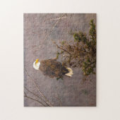 Bald Eagle Nova Scotia Kanada. Jigsaw Puzzle (Vertikal)