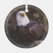 Bald Eagle Ornament Aus Glas (Vorderseite)