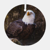 Bald Eagle Ornament Aus Glas (Rückseite)