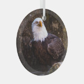 Bald Eagle Ornament Aus Glas (Vorderseite Rechts)