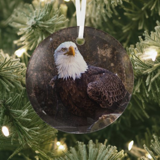Bald Eagle Ornament Aus Glas (InSitu)