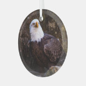 Bald Eagle Ornament Aus Glas (Vorderseite links)