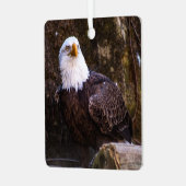 Bald Eagle Ornament Aus Metall (Vorderseite links)