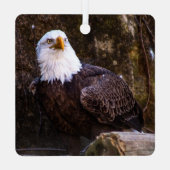 Bald Eagle Ornament Aus Metall (Rückseite)