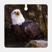 Bald Eagle Ornament Aus Metall (Vorderseite)