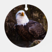 Bald Eagle Ornament Aus Metall (Rückseite)