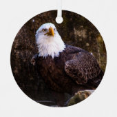 Bald Eagle Ornament Aus Metall (Vorderseite)