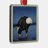 Bald Eagle Ornament Aus Metall (Rechts)