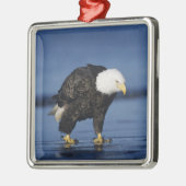 Bald Eagle Ornament Aus Metall (Links)