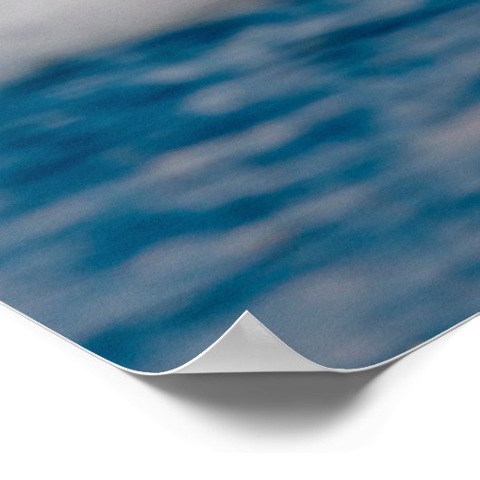 Bald Eagle Over Snow Poster (Ecke)