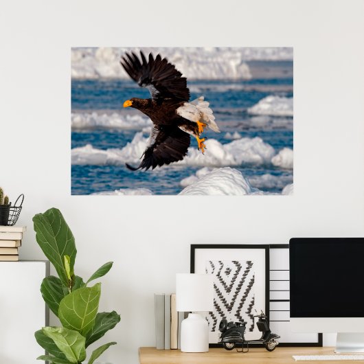 Bald Eagle Over Snow Poster (Heimbüro)
