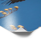 Bald Eagle Overhead Fotodruck (Ecke)