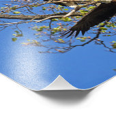 Bald Eagle Pair Fotodruck (Ecke)