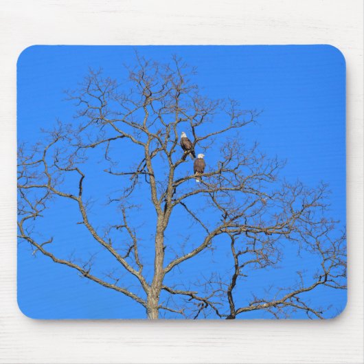 Bald Eagle Pair in Tree Mousepad (Vorne)