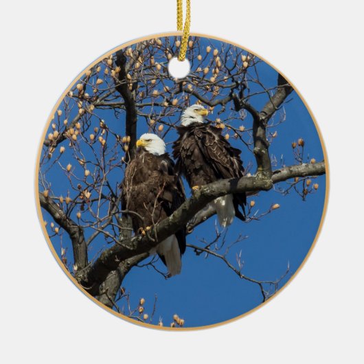 Bald Eagle Pair Keramikornament (Vorne)