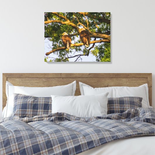 Bald Eagle Pair Leinwanddruck (Insitu (Schlafzimmer))