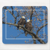 Bald Eagle Pair Mousepad (Vorne)