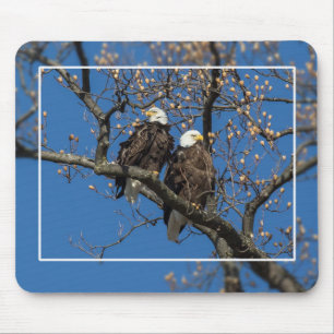 Bald Eagle Pair Mousepad