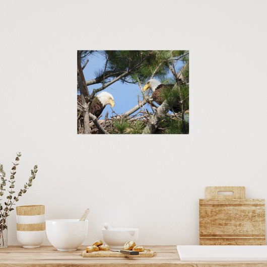 Bald Eagle Pair neigt zum Nest Poster (Küche)