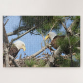 Bald Eagle Pair neigt zum Nest Puzzle (Horizontal)