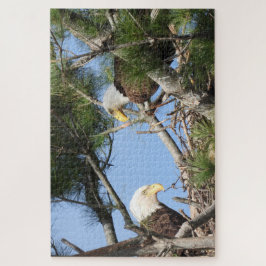 Bald Eagle Pair neigt zum Nest Puzzle