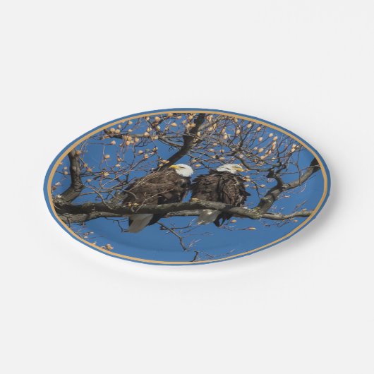 Bald Eagle Pair Pappteller (Schrägansicht)