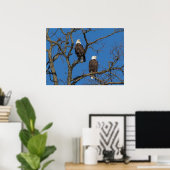Bald Eagle Pair Poster (Heimbüro)