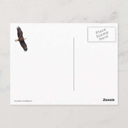 Bald Eagle Pair Postkarte (Rückseite)