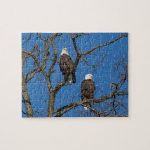 Bald Eagle Pair Puzzle