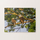 Bald Eagle Pair Puzzle (Horizontal)