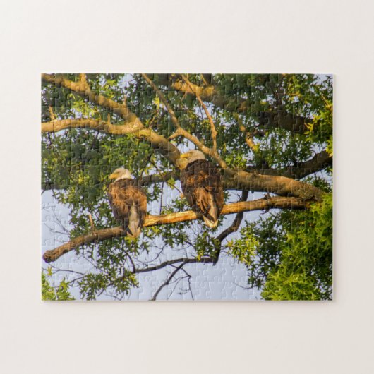 Bald Eagle Pair  Puzzle (Horizontal)