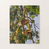 Bald Eagle Pair  Puzzle (Vertikal)