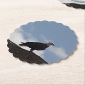 Bald Eagle Paper Coasters Untersetzer (angewinkelt)
