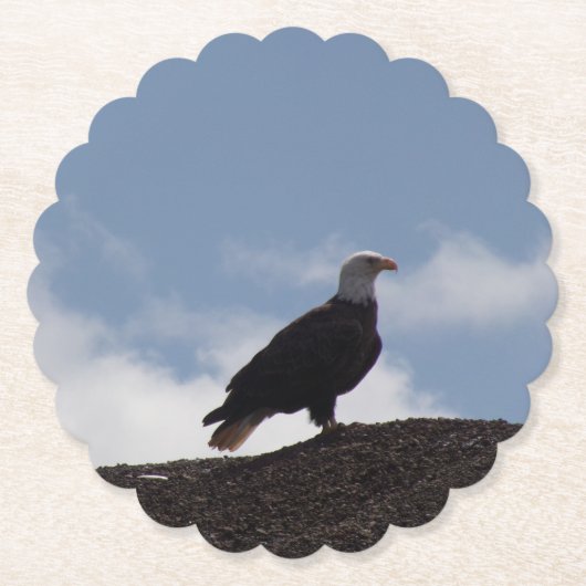 Bald Eagle Paper Coasters Untersetzer (Vorderseite)