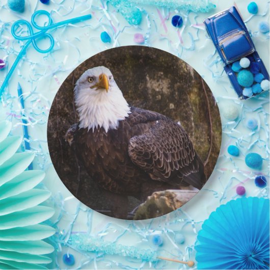 Bald Eagle Pappteller (Party)