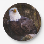 Bald Eagle Pappteller (Vorderseite)