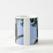 Bald Eagle Parent Kaffeetasse (Mittel)