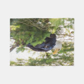 Bald Eagle perches in Douglas Fir Fleecedecke (Vorderseite (Horizontal))
