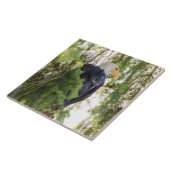 Bald Eagle perches in Douglas Fir Fliese (Seite)