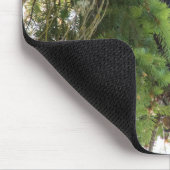 Bald Eagle perches in Douglas Fir Mousepad (Ecke)