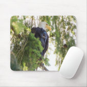 Bald Eagle perches in Douglas Fir Mousepad (Mit Mouse)