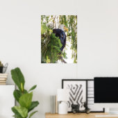Bald Eagle perches in Douglas Fir Poster (Heimbüro)