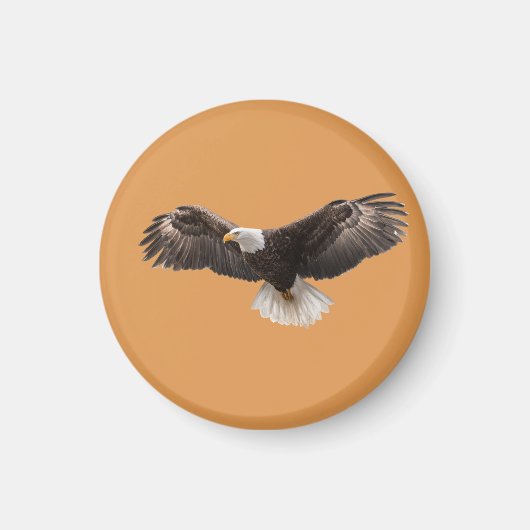  bald eagle pin , commonly sold as  magnet (Vorne)