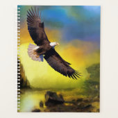 Bald Eagle Planer (Vorderseite)